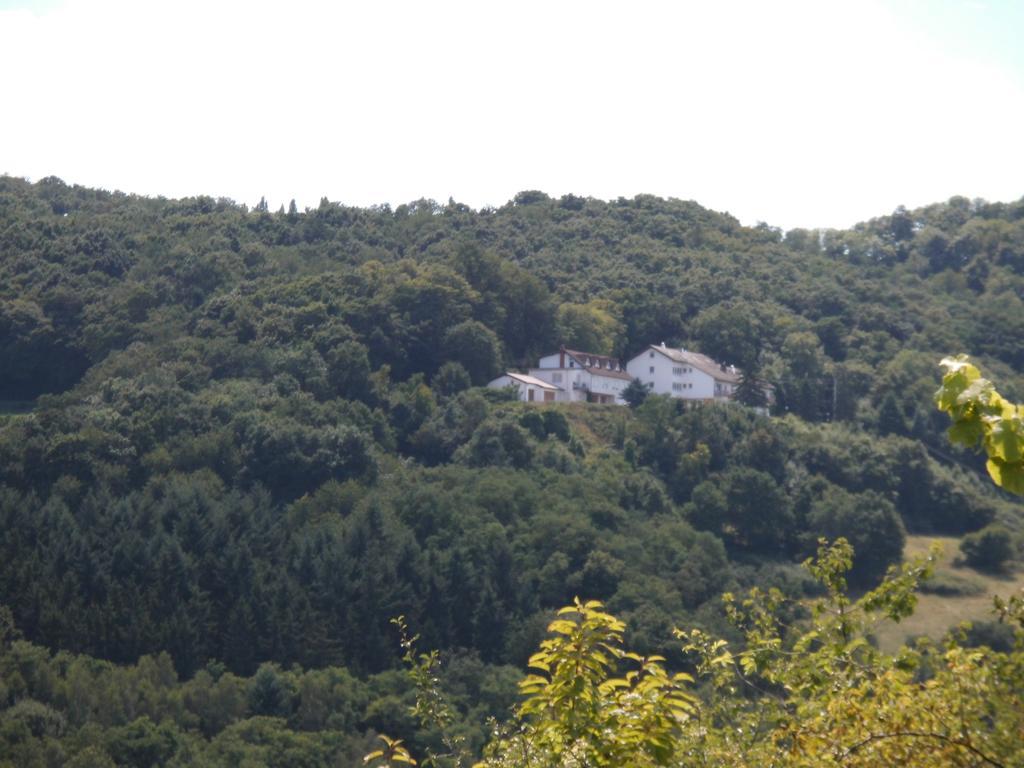 Burg-Hotel Obermoschel Exterior photo